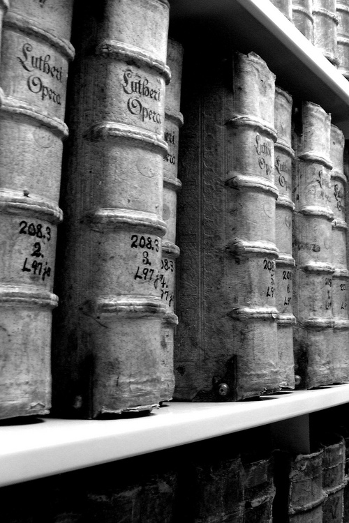 Photography by wendynicole for DesignCrowd (Community Contests) | Design #9031943