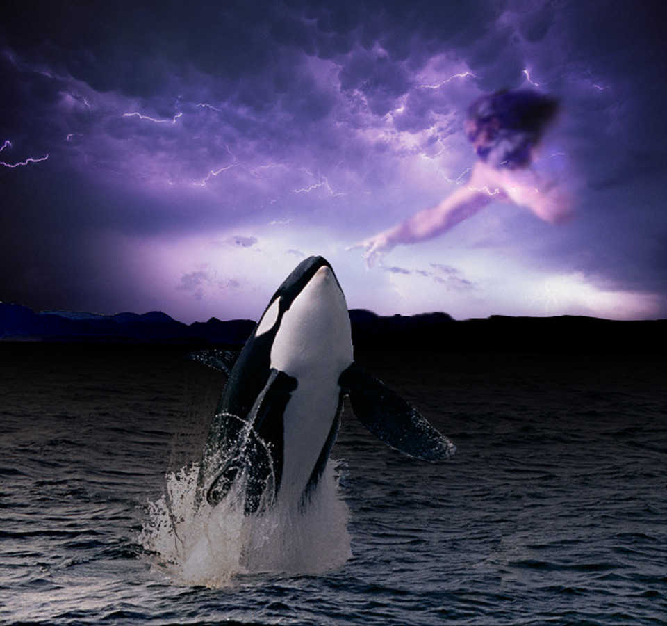 Photoshop Design by Sloaner for DesignCrowd (Community Contests) | Design #9044001