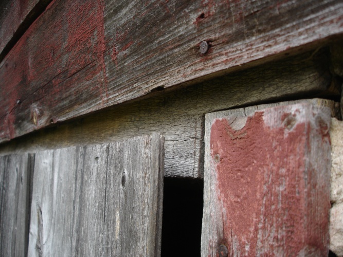 Fotografía por heridfel37 para DesignCrowd (Community Contests) | Diseño #9040467