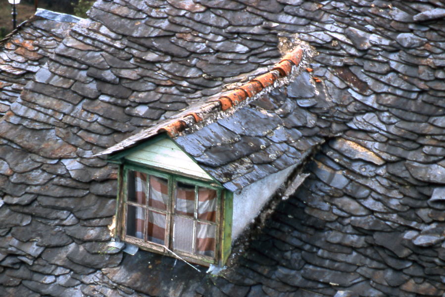 Photography by Rambis for DesignCrowd (Community Contests) | Design #9040342