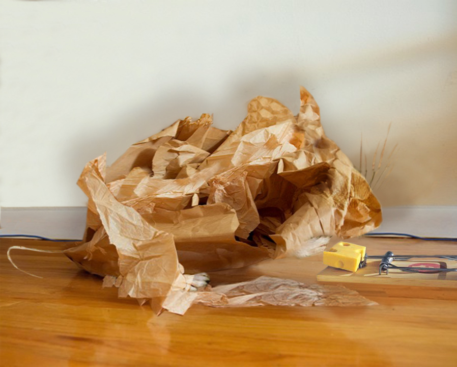 Diseño de Photoshop por EyEars para DesignCrowd (Community Contests) | Diseño #9043988