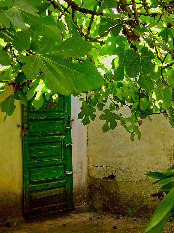 Photography by IsleofJura for DesignCrowd (Community Contests) | Design #9040393