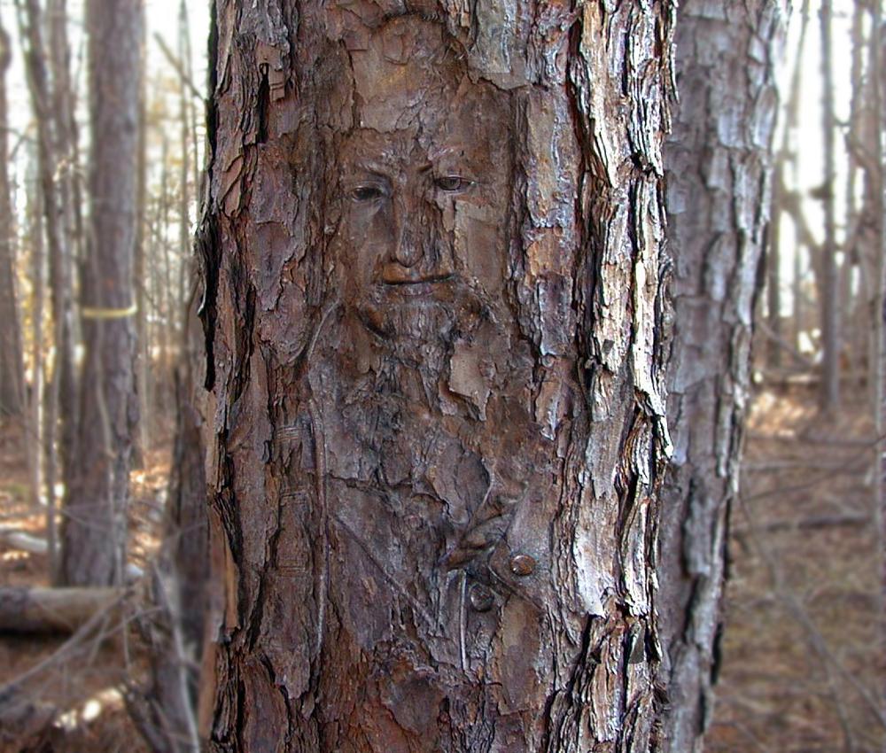 Diseño de Photoshop por sugarcane para DesignCrowd (Community Contests) | Diseño #9044209