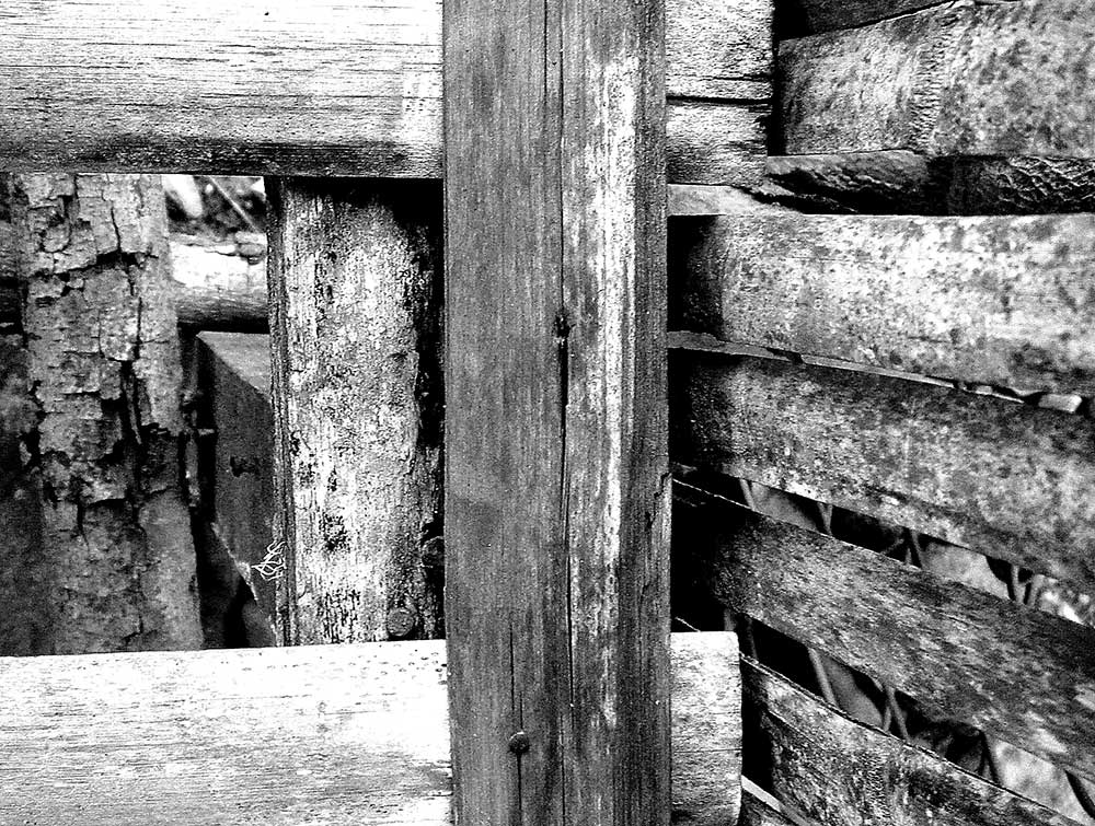 Photography by Avederp for DesignCrowd (Community Contests) | Design #9040388