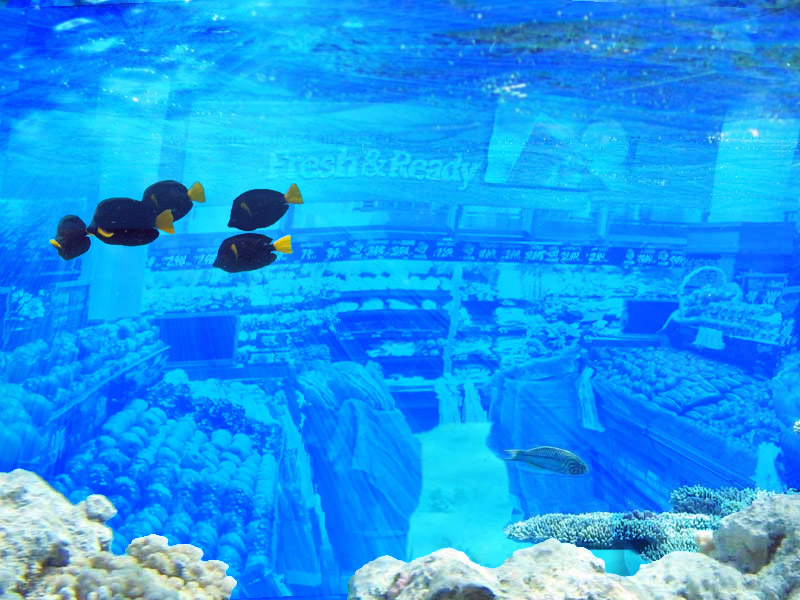 Photoshop-Design von jesterbryanc für DesignCrowd (Community Contests) | Design #9039562