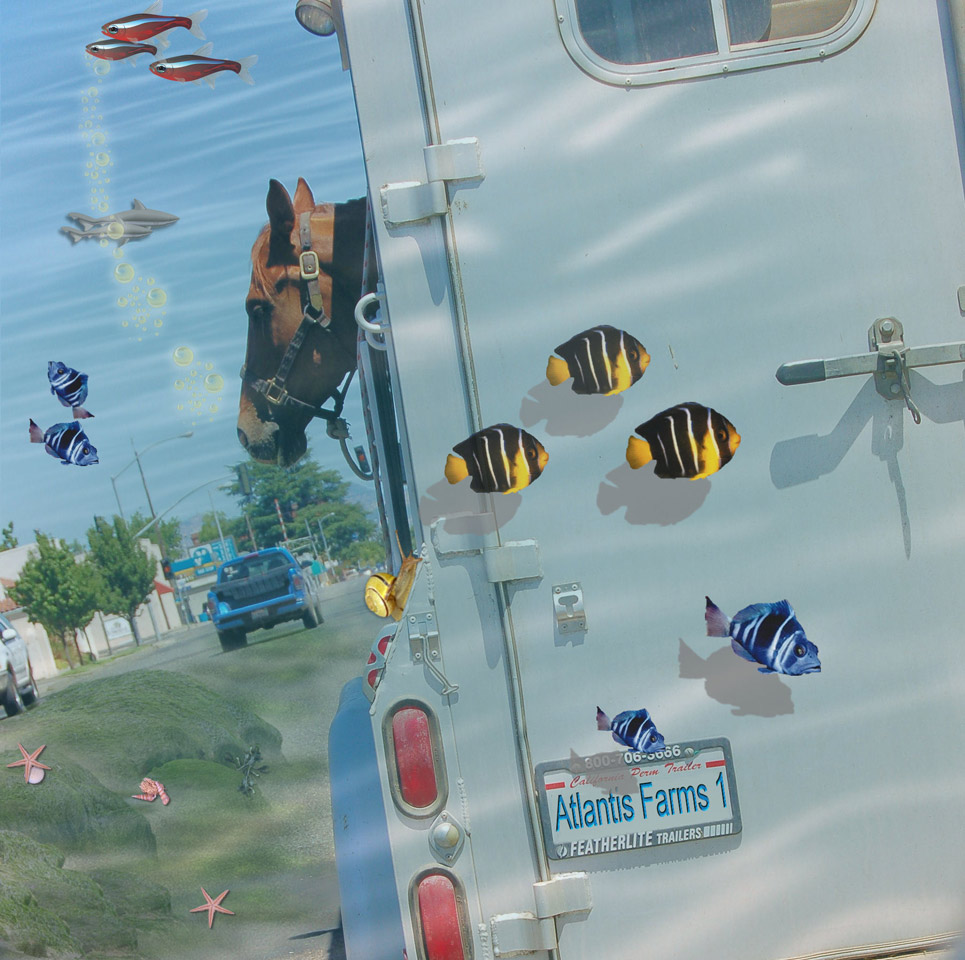 Photoshop Design by alwaysbeencreative for DesignCrowd (Community Contests) | Design #9039556