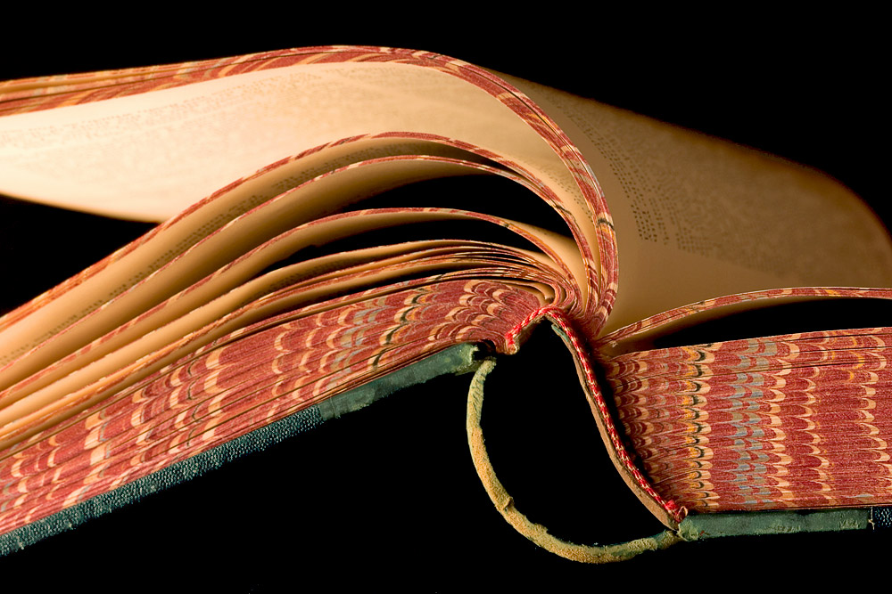 Photography by cats4dogs for DesignCrowd (Community Contests) | Design #9031877