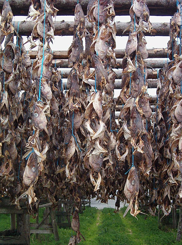 Photography by Nicky666 for DesignCrowd (Community Contests) | Design #9042724