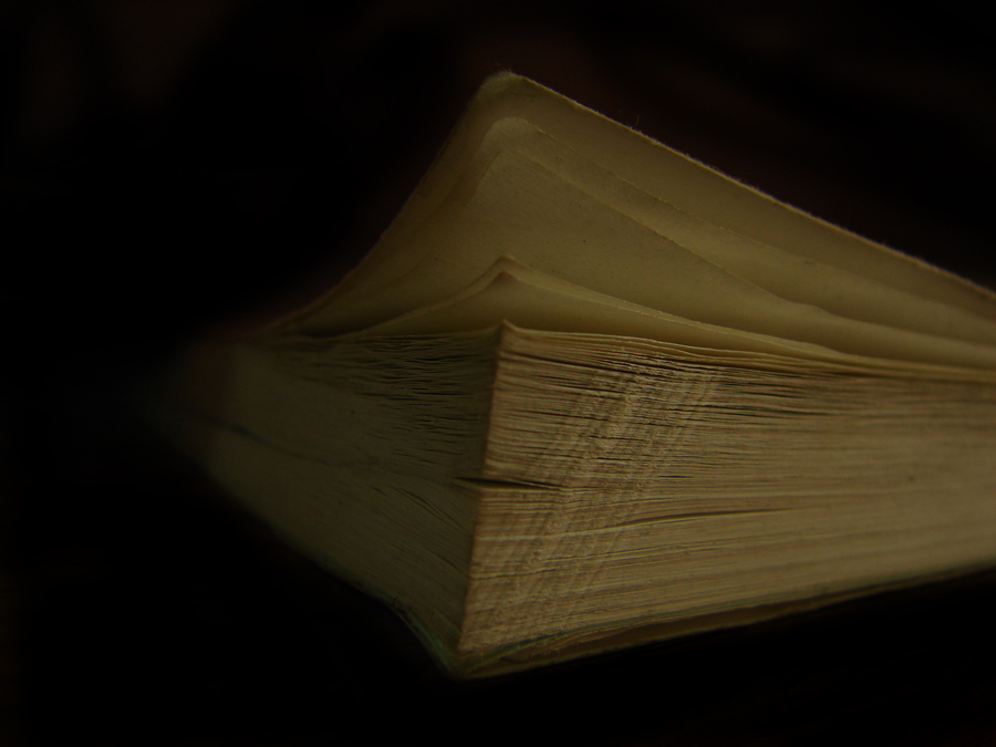 Photography by bigevil600 for DesignCrowd (Community Contests) | Design #9031912