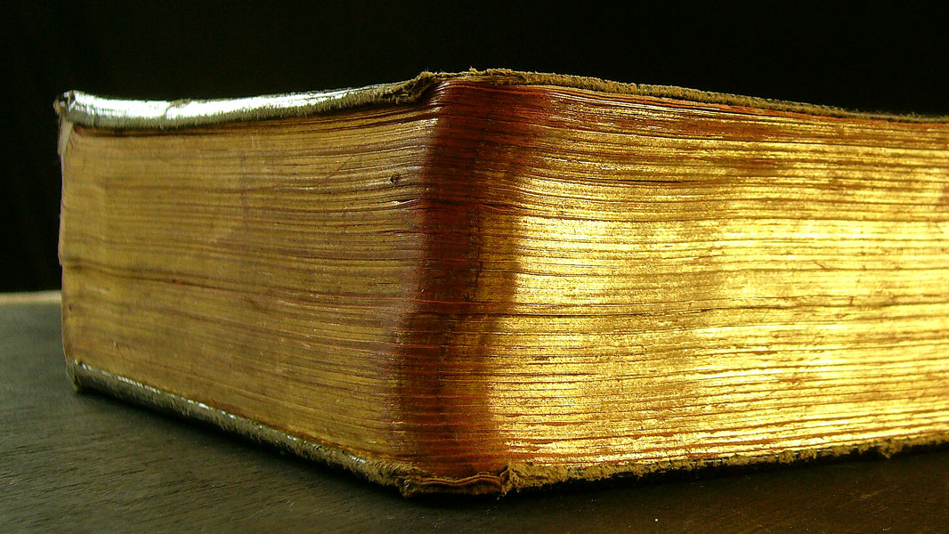 Fotografía por crownoctavo para DesignCrowd (Community Contests) | Diseño #9031933