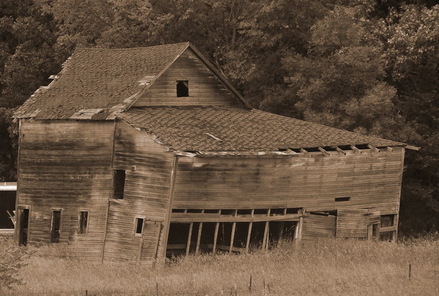 Photography by robinsphotos for DesignCrowd (Community Contests) | Design #9040423