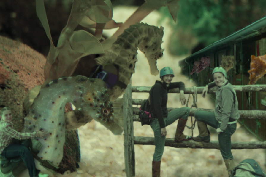 Photoshop-Design von Hobbit90 für DesignCrowd (Community Contests) | Design #9039701