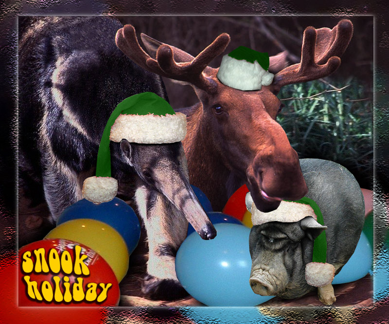 Photoshop Design by johnybb for DesignCrowd (Community Contests) | Design #9031607