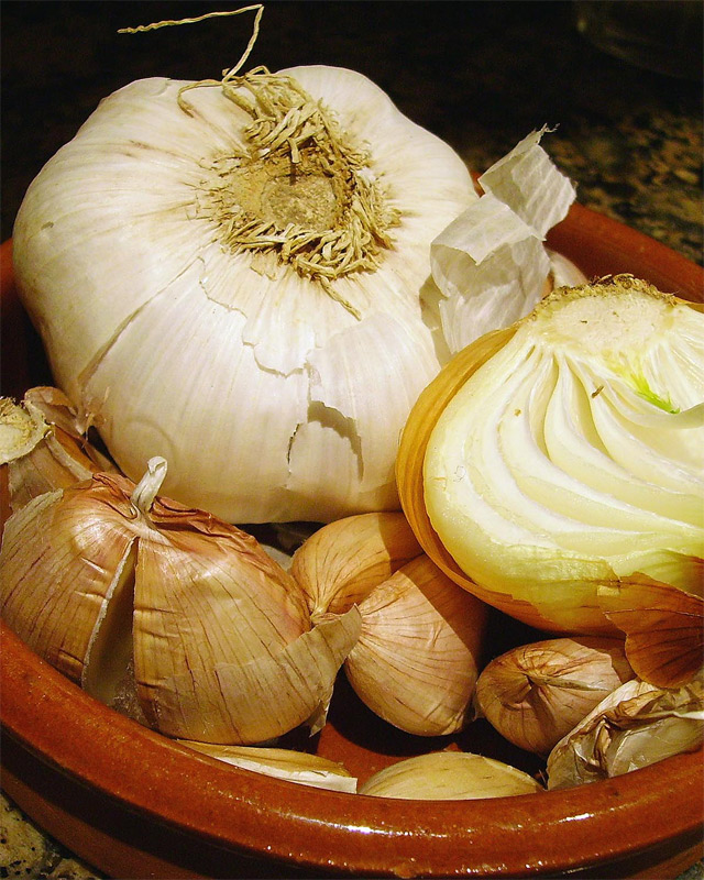 Photography by IsleofJura for DesignCrowd (Community Contests) | Design #9042769