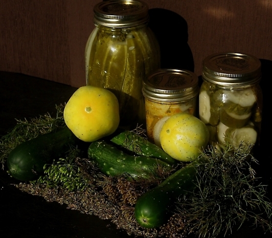 Photography by spincast1123 for DesignCrowd (Community Contests) | Design #9042756