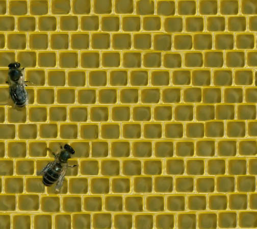 Photoshop Design by dfwsusan for DesignCrowd (Community Contests) | Design #9042345