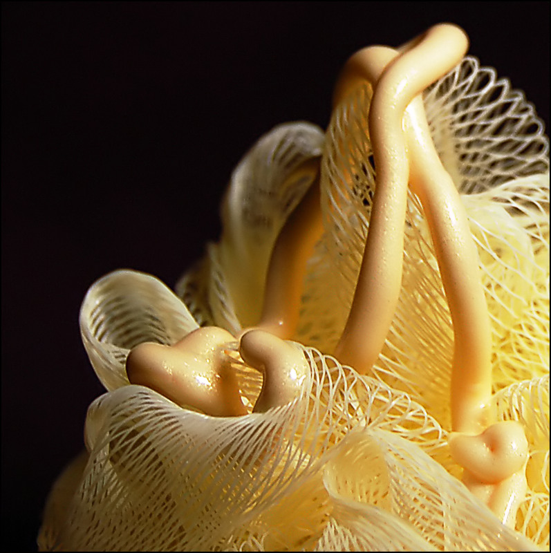 Photography by Meggie for DesignCrowd (Community Contests) | Design #9042802