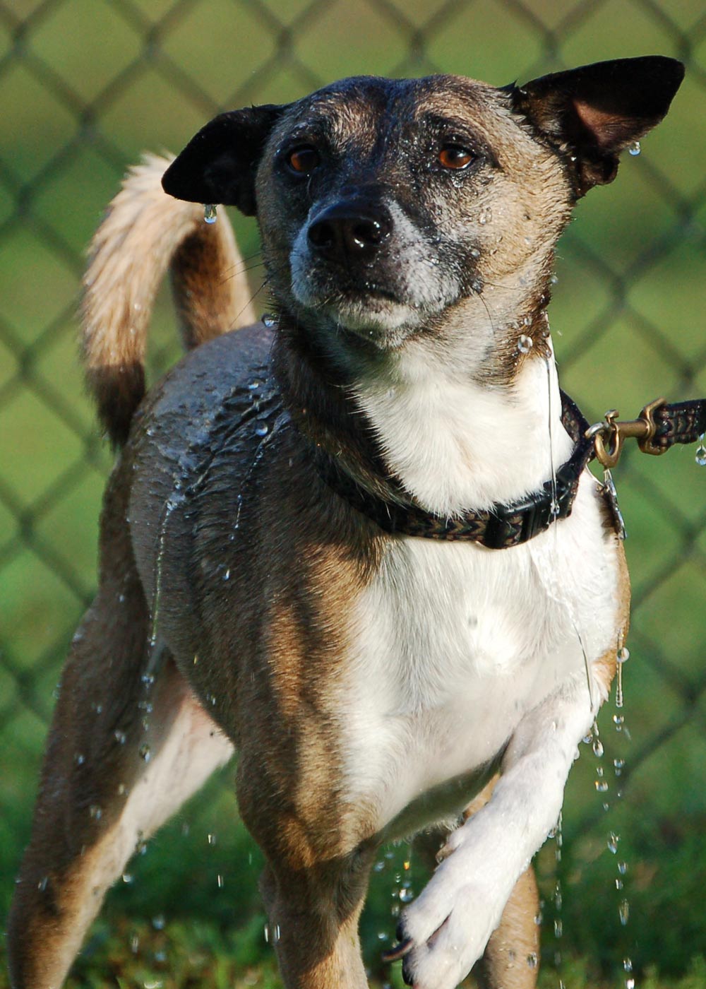 Photography by AIRPABLO for DesignCrowd (Community Contests) | Design #9042921