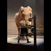 Photoshop Design by npjohnson