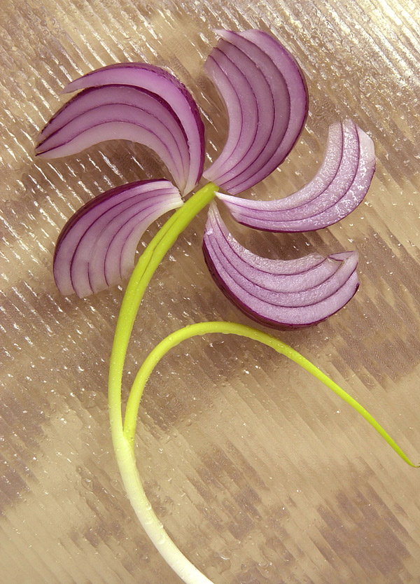 Photography by paparouna for DesignCrowd (Community Contests) | Design #9042938