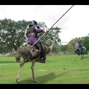 Photoshop Design by Calaveras