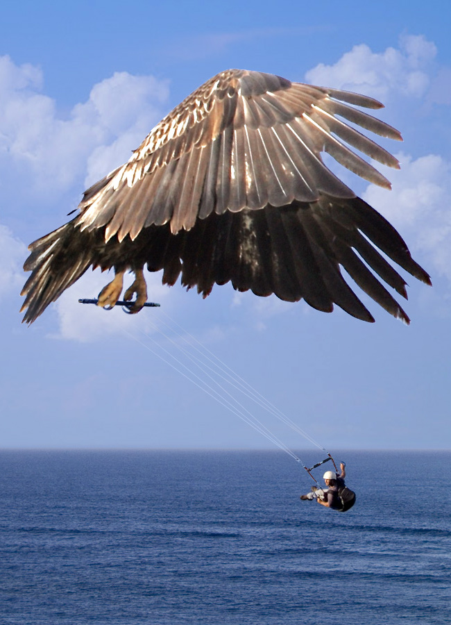 Design Photoshop par redcard pour DesignCrowd (Community Contests) | Design #9038554