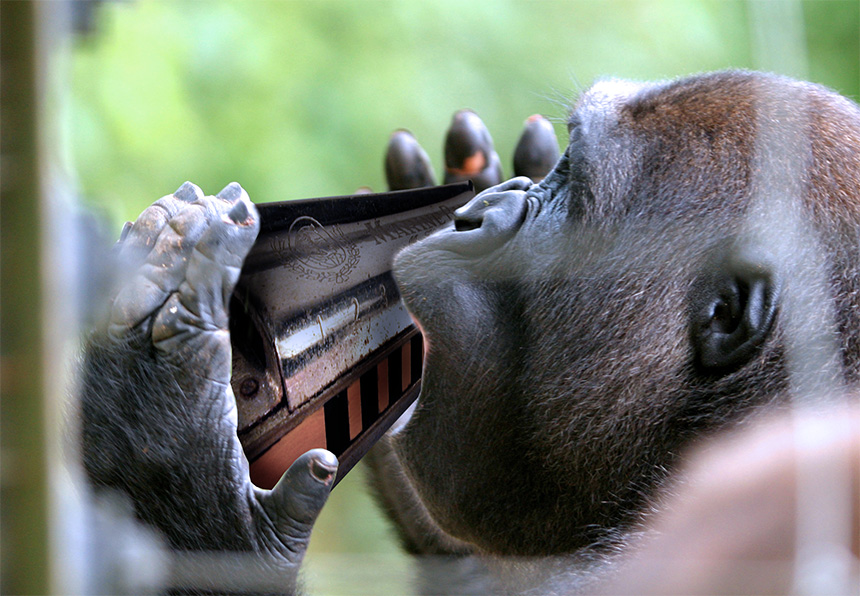 Diseño de Photoshop por mattbyng para DesignCrowd (Community Contests) | Diseño #9039884