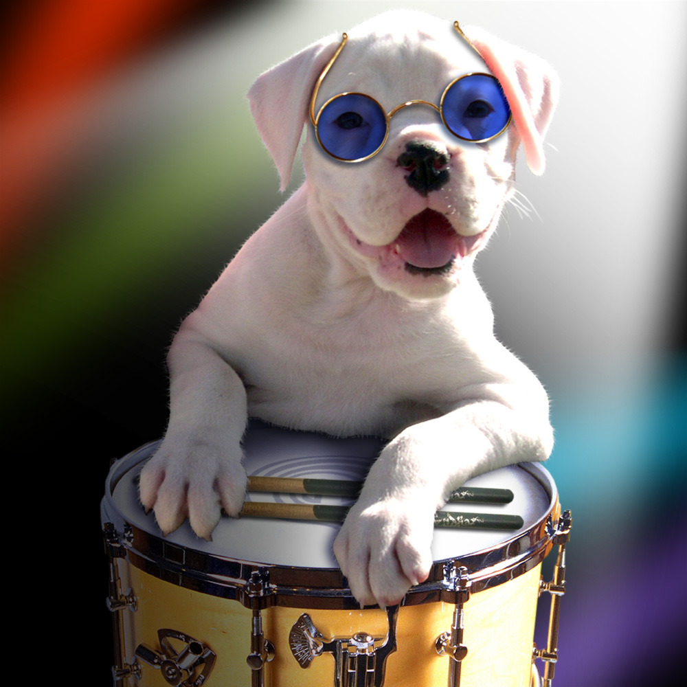 Photoshop Design by davidberettaowens for DesignCrowd (Community Contests) | Design #9039899