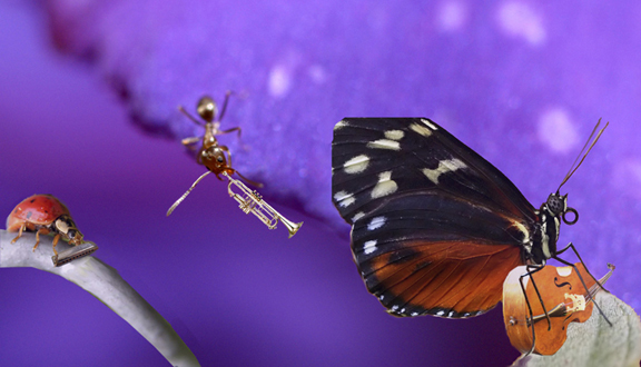 Photoshop Design by dfwsusan for DesignCrowd (Community Contests) | Design #9039978