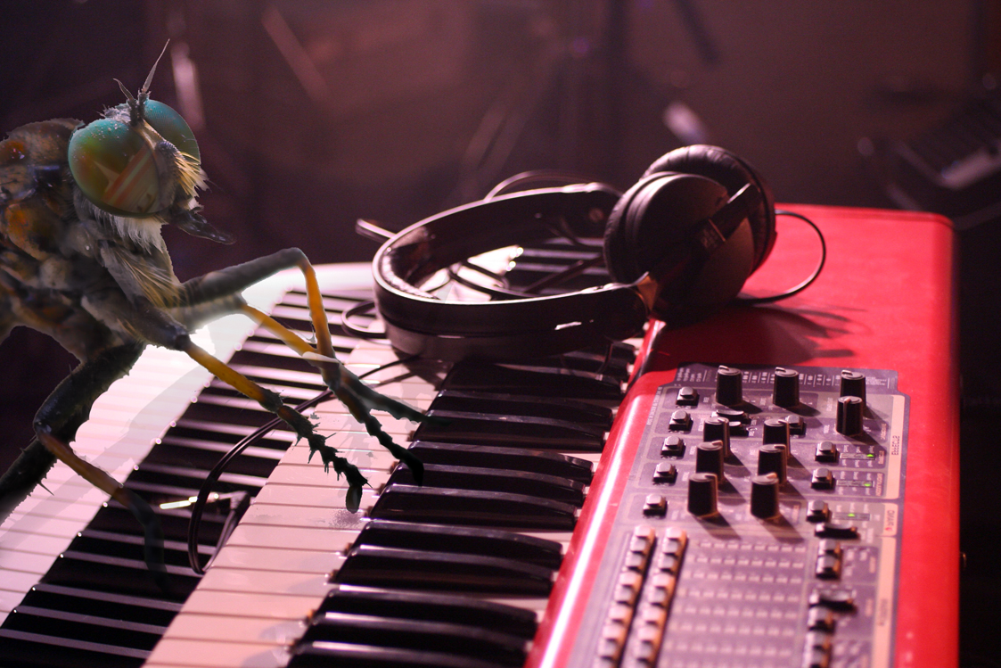 Photoshop-Design von Flexodus für DesignCrowd (Community Contests) | Design #9039946