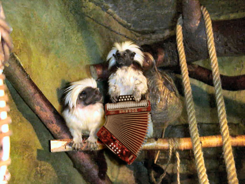 Photoshop Design by Irrwitzer for DesignCrowd (Community Contests) | Design #9039963