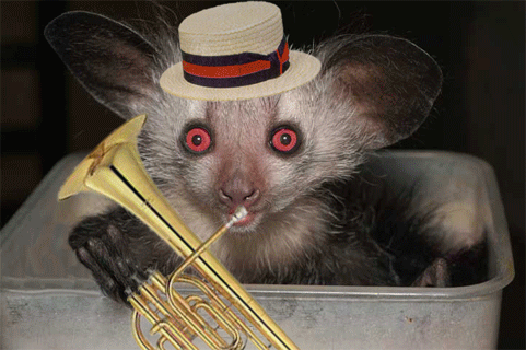 Design Photoshop par shmoman pour DesignCrowd (Community Contests) | Design #9040059