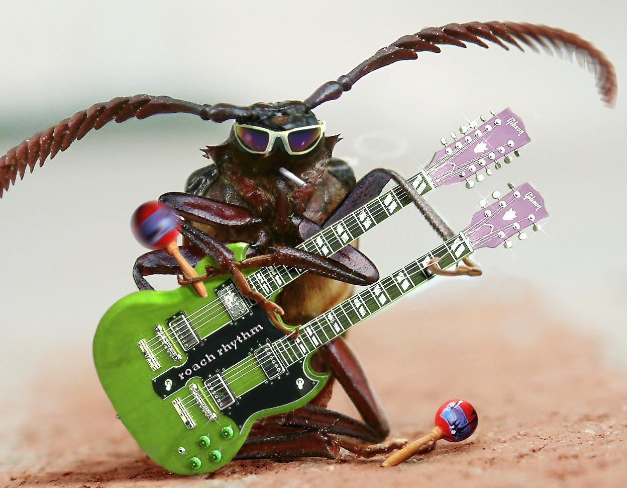 Diseño de Photoshop por sugarcane para DesignCrowd (Community Contests) | Diseño #9040001