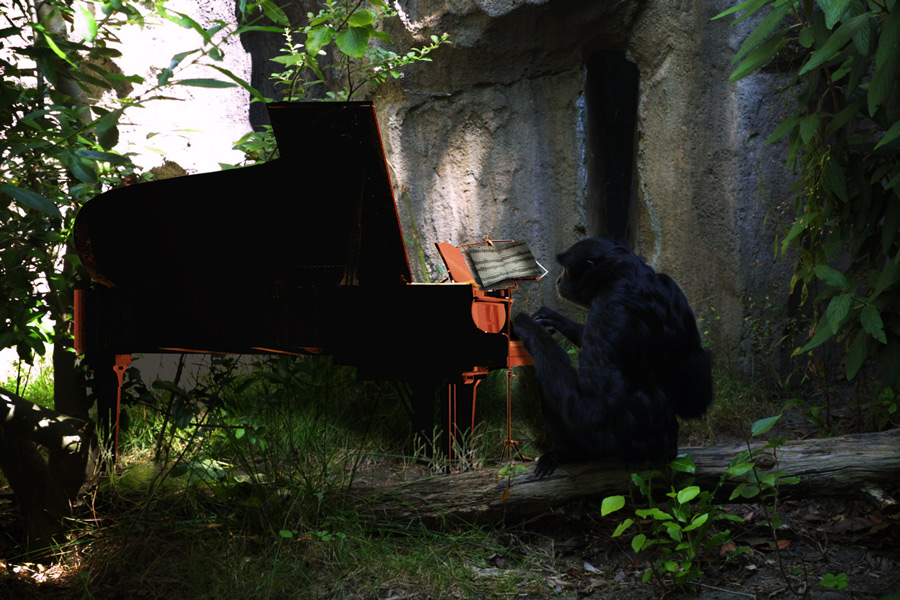 Photoshop-Design von Penywise für DesignCrowd (Community Contests) | Design #9040195