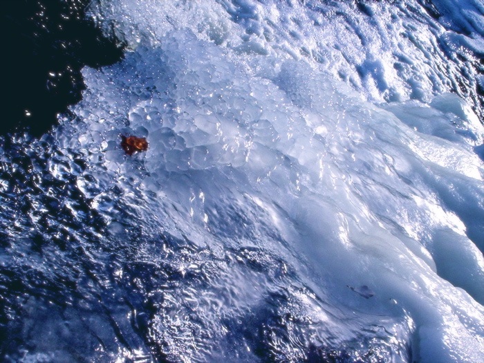 Photography by julianpitt for DesignCrowd (Community Contests) | Design #9041648