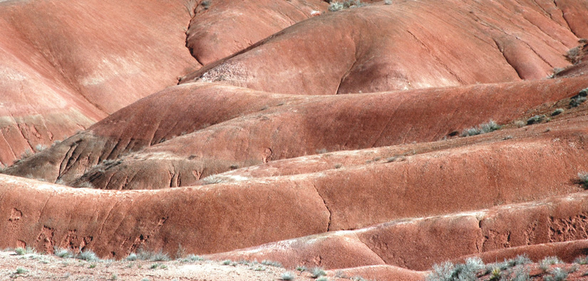 Photography by MisterSir for DesignCrowd (Community Contests) | Design #9041701