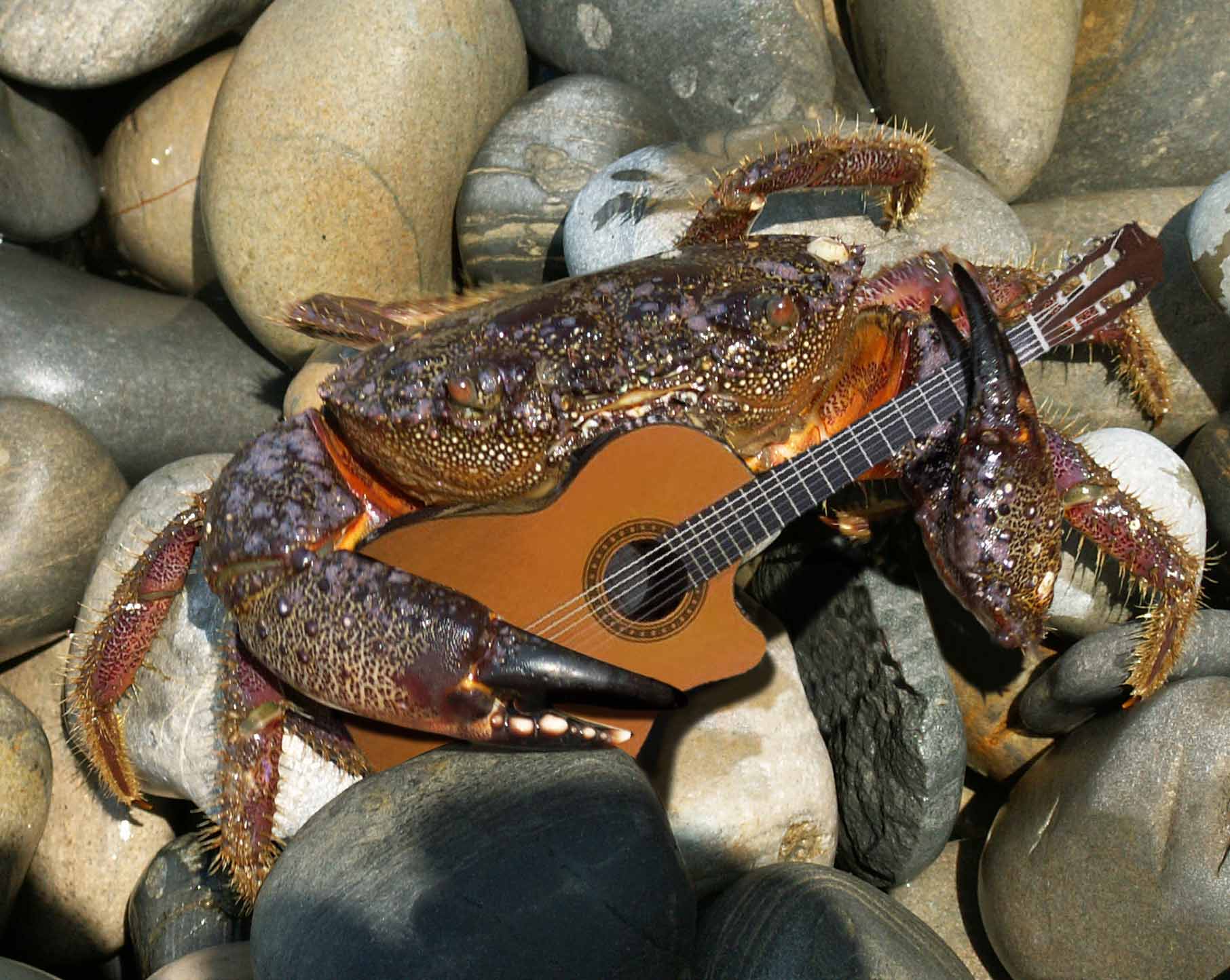 Photoshop Design by spiraleye for DesignCrowd (Community Contests) | Design #9040120