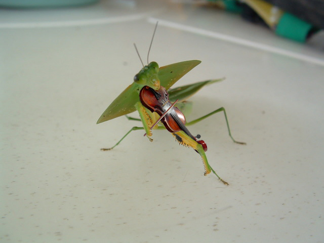 Photoshop Design by nazka2002 for DesignCrowd (Community Contests) | Design #9040265