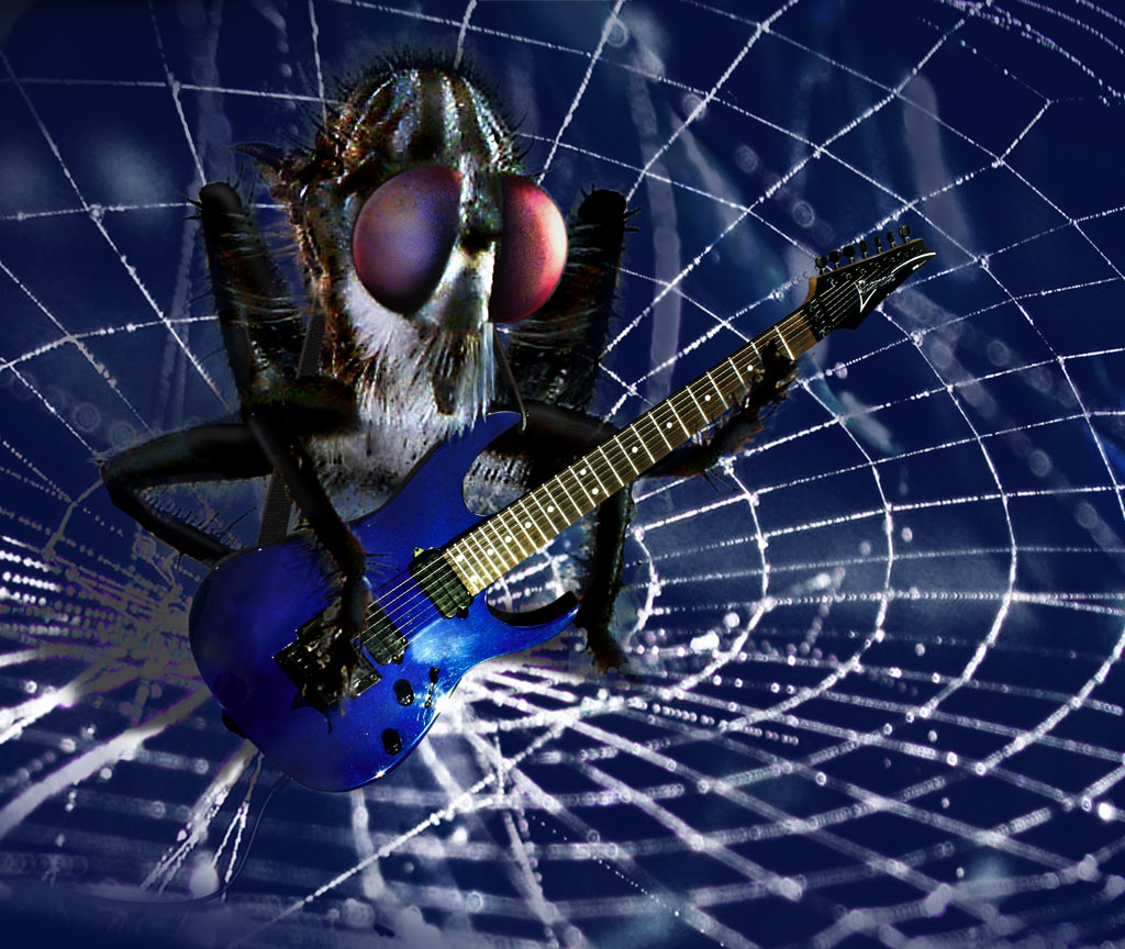 Photoshop Design by GoldenWreckedAngle for DesignCrowd (Community Contests) | Design #9040230