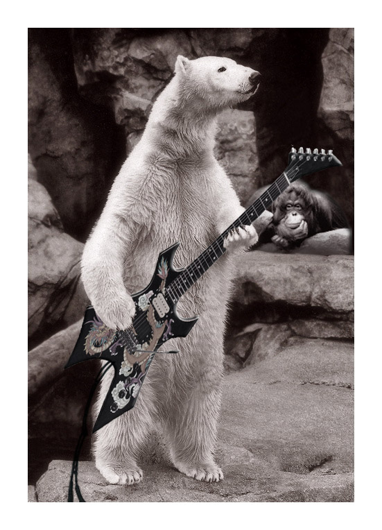 Photoshop Design by zynnya for DesignCrowd (Community Contests) | Design #9040224