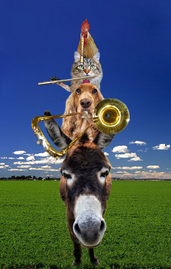 Photoshop Design by ozlemarc for DesignCrowd (Community Contests) | Design #9040210