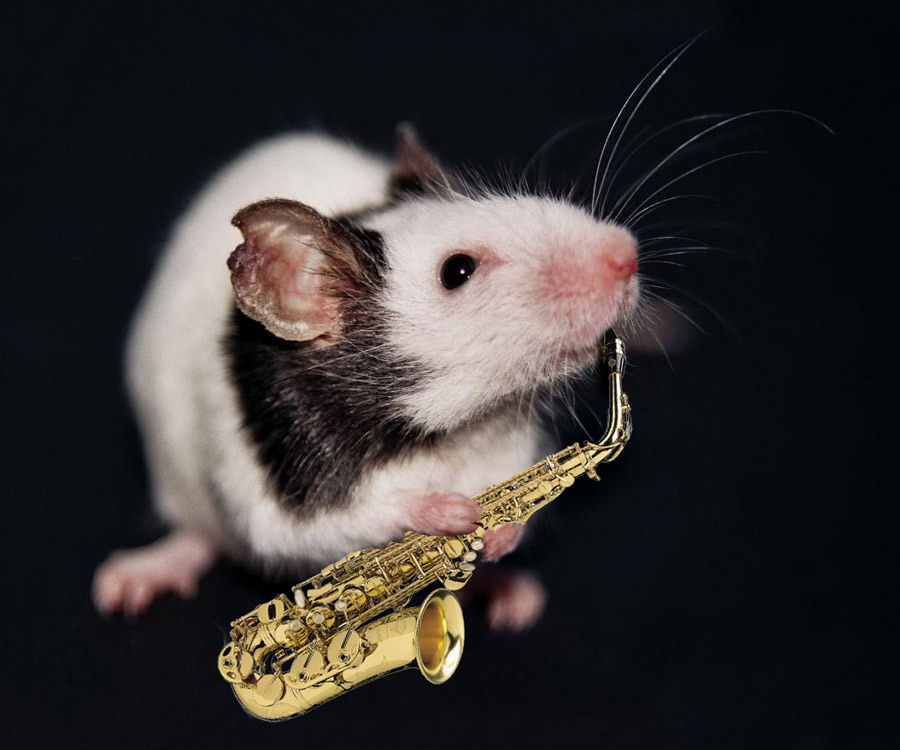 Photoshop Design by johnybb for DesignCrowd (Community Contests) | Design #9040392