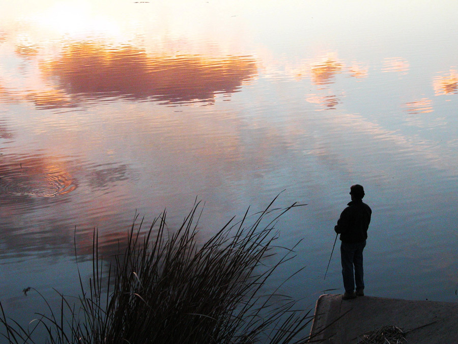 Fotografie von jester11221122 für DesignCrowd (Community Contests) | Design #9041675