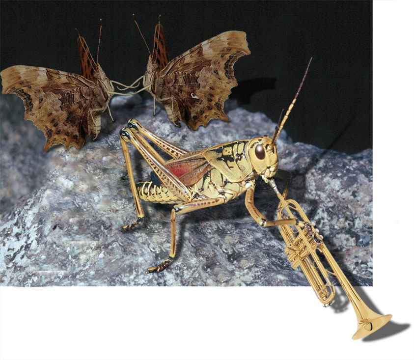 Photoshop Design by MA1947 for DesignCrowd (Community Contests) | Design #9040349