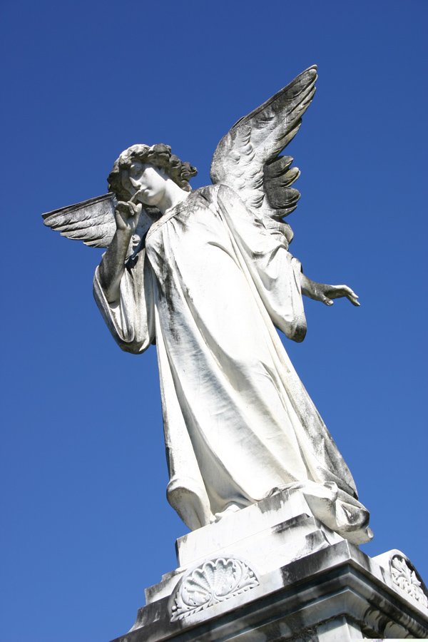 Photography by Tori2004 for DesignCrowd (Community Contests) | Design #9040045