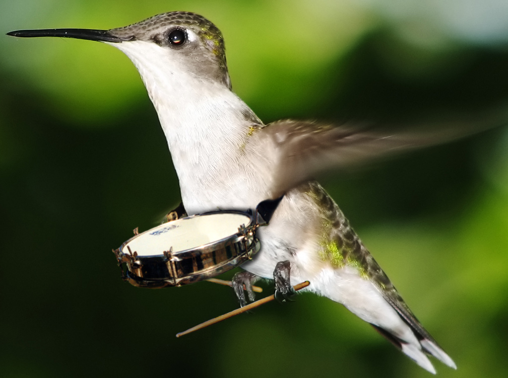 Diseño de Photoshop por TheAmberRoom para DesignCrowd (Community Contests) | Diseño #9040370