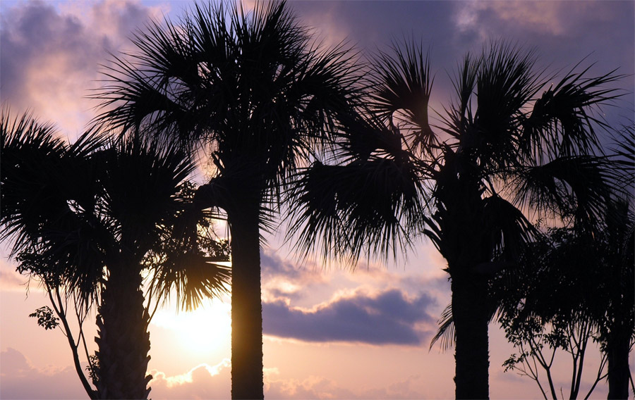 Photography by miarose59 for DesignCrowd (Community Contests) | Design #9041692