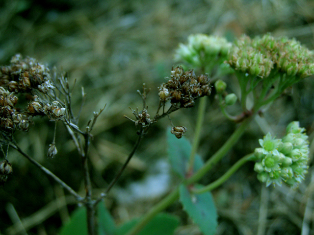 Photography by Tool47 for DesignCrowd (Community Contests) | Design #9040145