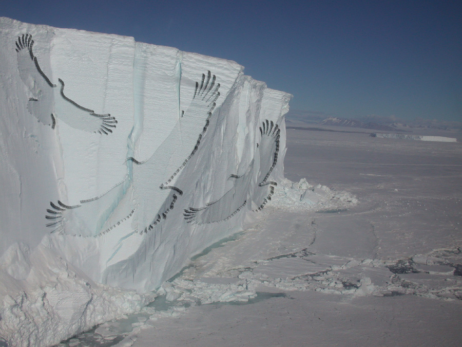 Photoshop-Design von dfwsusan für DesignCrowd (Community Contests) | Design #9042038