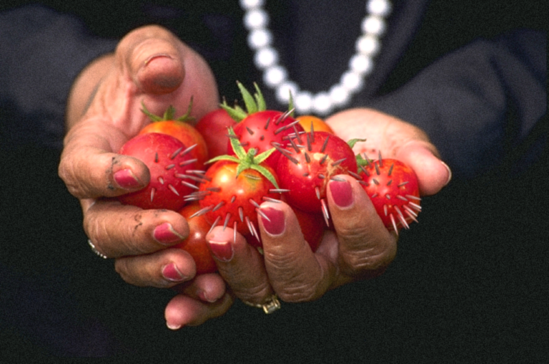 Photoshop Design by BhiaatRabak for DesignCrowd (Community Contests) | Design #9036988